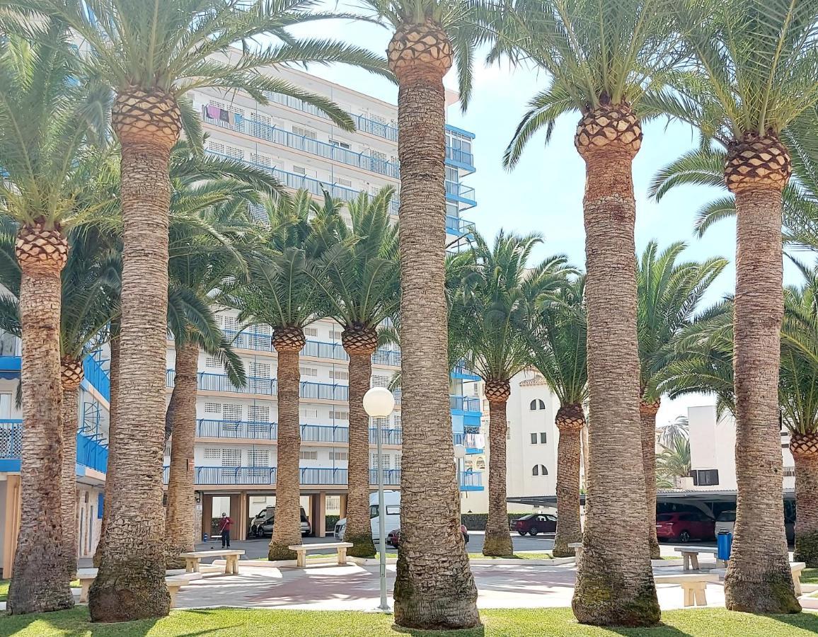 Exclusif Appartement En 1Er Ligne, Vue Imprenable, Piscine, Parking Prive A Playa Mucha Vista, Alicante El Campello Exterior foto